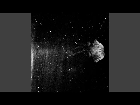 Lee go do - Someday or One Day