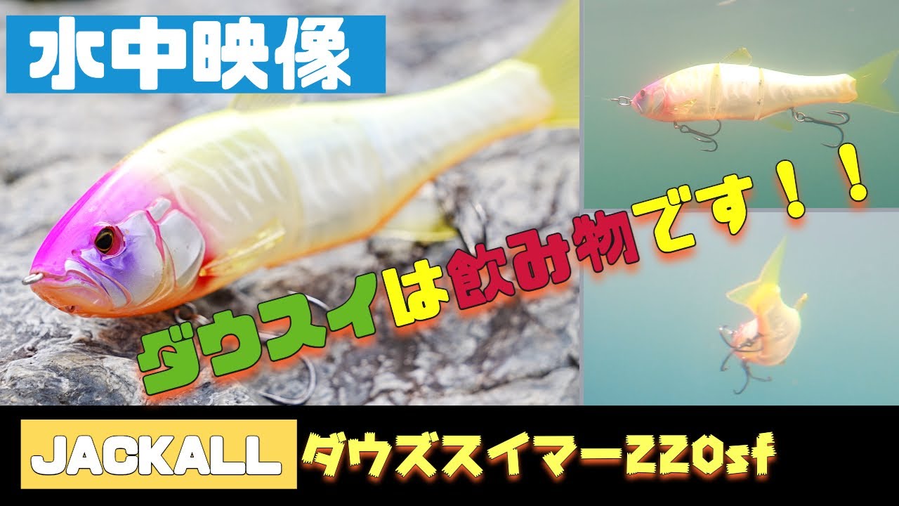水中映像 Jackall ダウズスイマー2sfの泳ぎはこうです シーバス Youtube