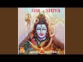 Om shiva