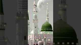 Mashallah💫✨#gif #foryouシ #shortsfeed #ytshortsvideo ll lightofislam #makkahmadina #muhammadﷺ gif