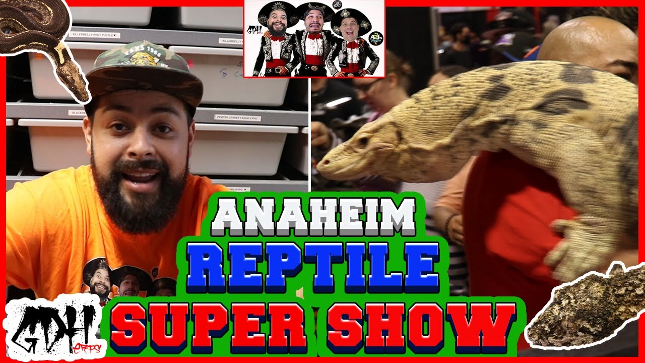 ANAHEIM REPTILE SUPER SHOW AND MY EXPERIENCE WITH THE THREE AMIGOS