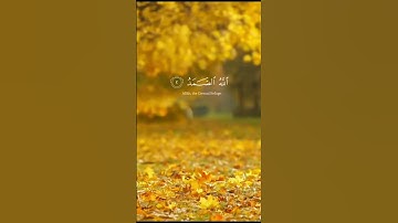 القرآن الكريم سورة الاخلاص #ماهر_المعيقلي #قران_كريم #راحة_نفسية #اكسبلور