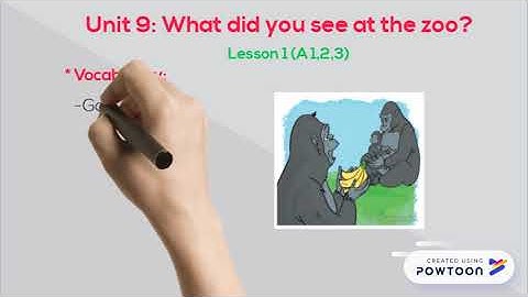 Unit 9: What did you see at the zoo?