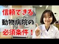 【犬猫の病院探し】獣医が教える本当にいい動物病院の選び方