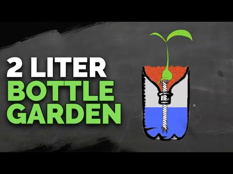 Видео: Хидропонни градини - Информация за температурата на водата и ефектите върху хидропониката