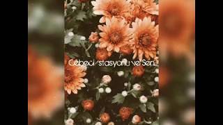 Cebeci İstasyonu Ve Sen...yavuz Bülent Baki̇ler