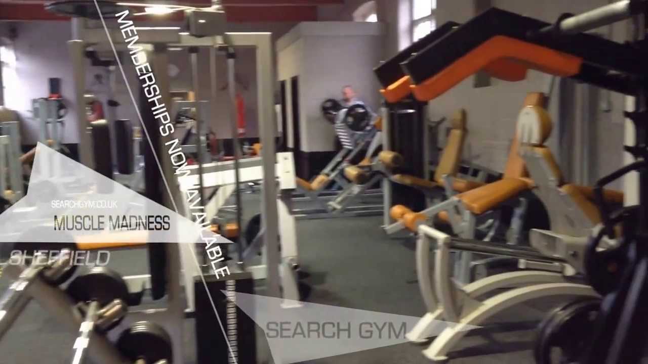 Gyms near Sheffield Muscle Madness Take a Tour (SearchGym) YouTube
