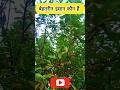 ब हतर न इ स न क न ह Short Video Razvinetwork730 Shorts Shortvideo Viralshort Ytshorts Shots ब हतर न इ स न क न ह Short Video Razvinetwork730 Shorts Shortvideo Viralshort Ytshorts Shots