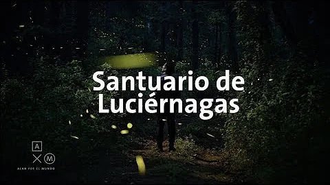 Santuario de Lucirnagas 4K | Alan por el mundo