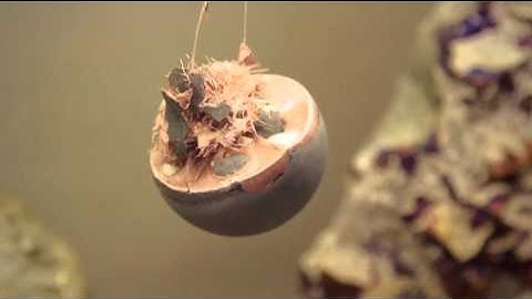 Videoclip LES CRISTAUX: solo show by Milene Guermont at Mineralogy Museum