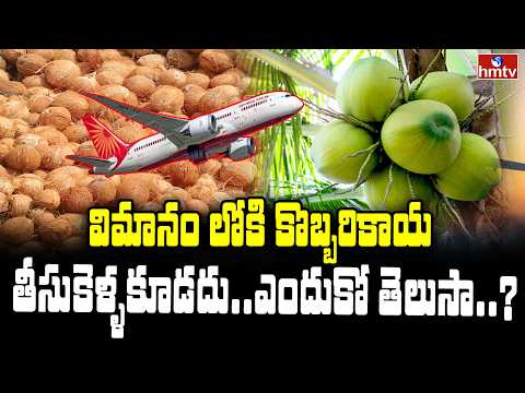 TO THE POINT : విమానం లో కి కొబ్బరికాయ తెసుకెళ్ళకూడదు... ఎందుకో తెలుసా | hmtv - HMTVNEWS
