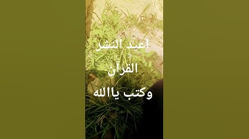 #egzonibrahimi #سورة_الإخلاص #ikhlas #تلاوة_خاشعة #اكسبلور #الرحمن #اسلام_صبحي #لايك #الظروف #دويتو