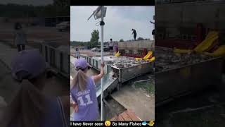 I have Never seen 😲 So Many Fishes🐟🐠 | Fish Video | Fishing