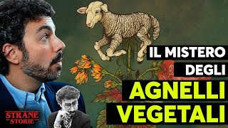 Il MISTERO degli agnelli vegetali