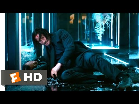 john-wick:-chapter-3---parabellum-(2019)---shinobi-assassin-fight-scene-(9/12)-|-movieclips