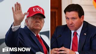 ‘Nothing is off the table!’ Why FLORIDA is in play for Democrats 