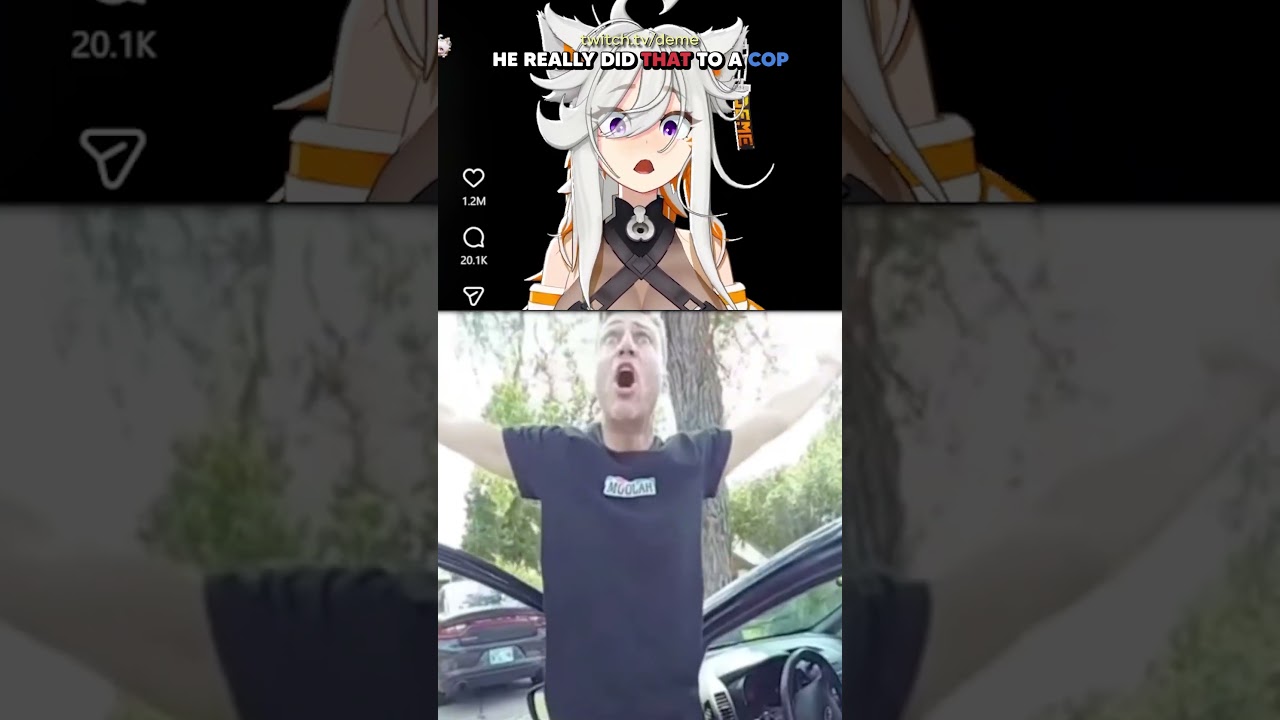 He Really Did That to a COP