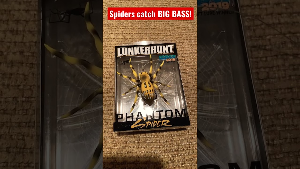 The SPIDER LURE catches FISH! (UNBELIEVABLE) 