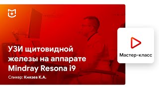 УЗИ щитовидной железы на Mindray Resona i9