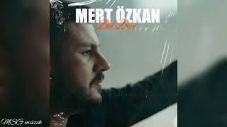 Mert Özkan - Bul Beni Resimi