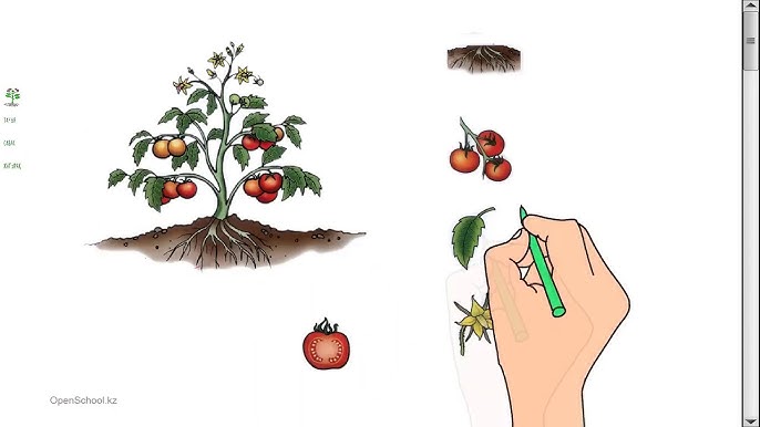 Орыс келіншегі ер адамды мысығын жалауға мәжбүрлеген.