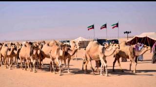 شقح مطير منقية احمد نايف أبوشيبه كلمات الشاعر فهد الدبداب اداء العذب