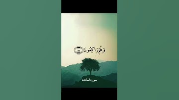 #آية )#سورة_المائدة #القارئ محمد أيوب #رحمه الله
