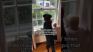 Dog calls out the mailman AND his mother?!