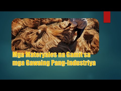 Video: Ano ang pinaka labor intensive na industriya?