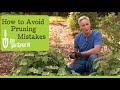 Biggest Pruning Mistakes And How to Avoid Them