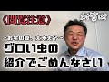 【畳のダニと虫】正しい知識とストレスフリーの対処法〜畳ライフスタイル向上〜