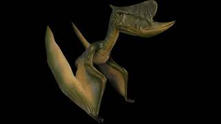 Dsungaripterus Weii Sounds J.W