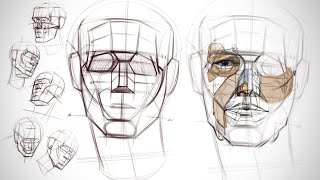 Introduction to Head Drawing and Construction