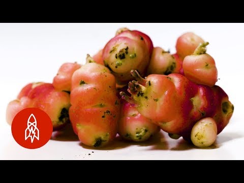 Video The Most Beautiful Fruits and Vegetables You’ve Never Seen