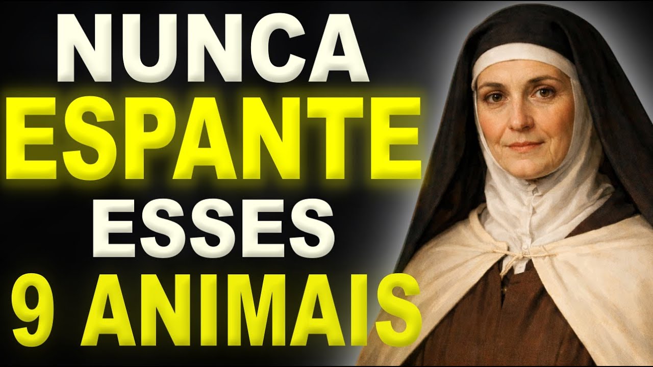 Santa Teresa Revelou Nunca Espante Esses Animais  Eles Carregam Avisos e Proteção Divina