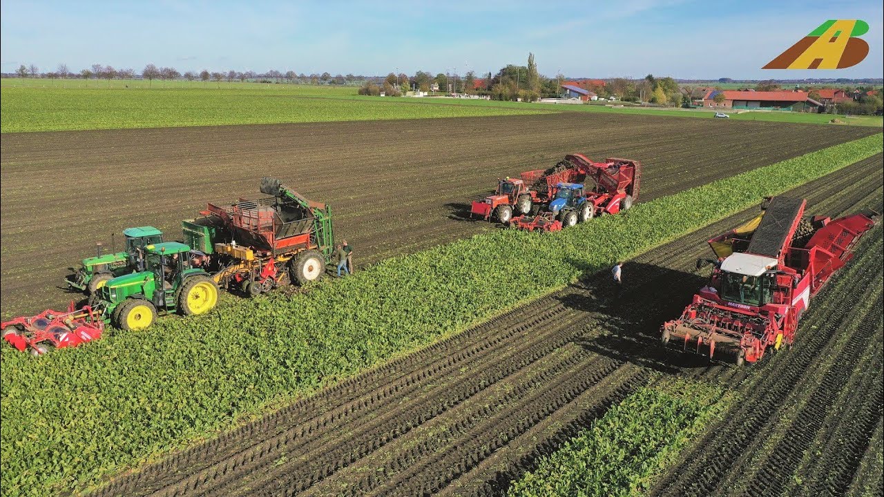 Großeinsatz beim Rübenroden in der Hildesheimer Börde - 18 reihige Rübenernte - Sugarbeet harvesting