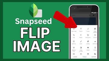 How to Flip Image in Snapseed 2024?