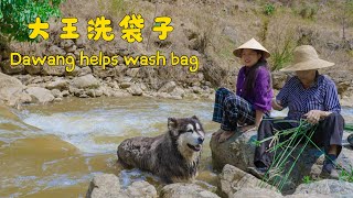 Dawang accompanied grandma to wash the bag, and he happened to be able to play with water