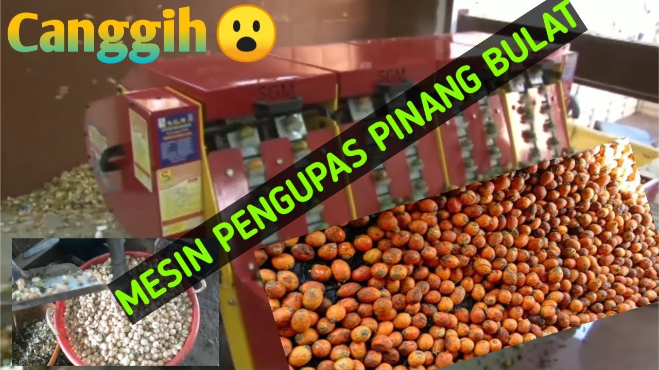 Mesin Kupas Pinang Canggih