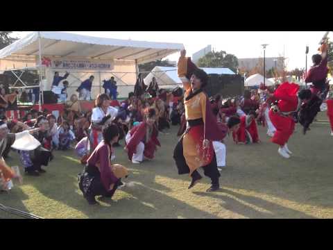 長州とことん総踊り2013（中央公園会場）　総踊り　フリーダム