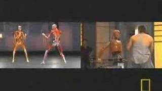 Bir Yumruğun Anatomisi