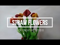 Cara membuat bunga dari sedotan  diy straw flowers  azk creative studio