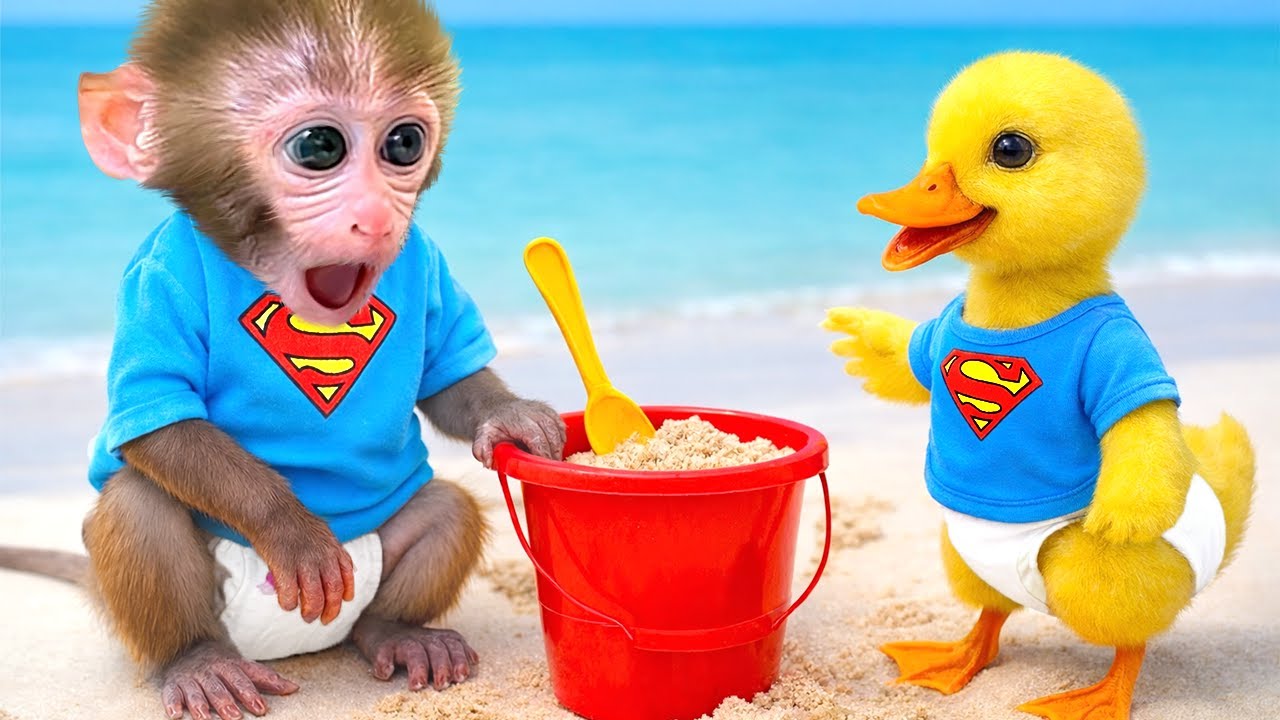 ลิงบอนบอนซื้อผลไม้ที่ร้านขายของชำและทำน้ำผลไม้สายรุ้งให้ลูกกระรอกน้อย