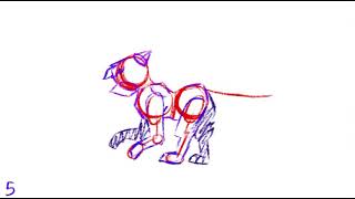 Super rough run cycle || Test
