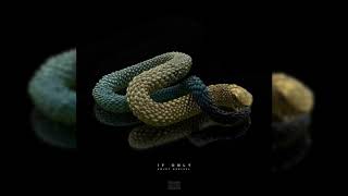 Kojey Radical - IF ONLY (Partially Clean)