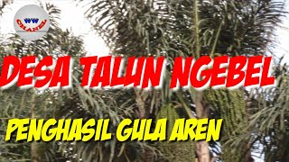 Desa Talun ngebel Penghasil gula aren dan buah