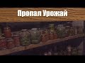 Проблемы с Погребом в погребе все попало каюк урожаю