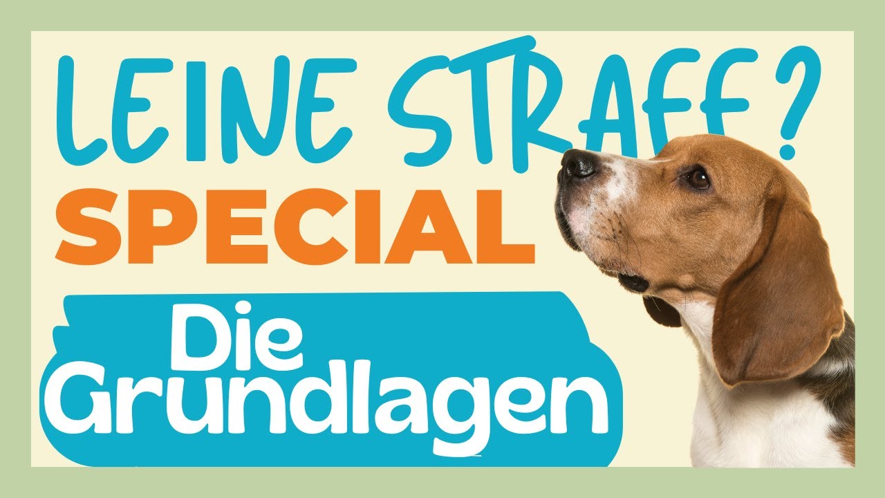 LEINEN-SPECIAL MIT AHA-EFFEKT 🔥 Wie siehst du das?