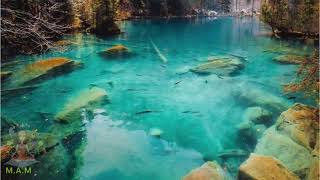 8. Quantum Jumping- Meeting Your Alpha Past and Perfect Self  (Burt Goldman) Meditation