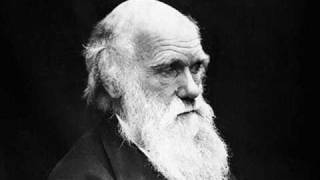 Was Darwin Wrong